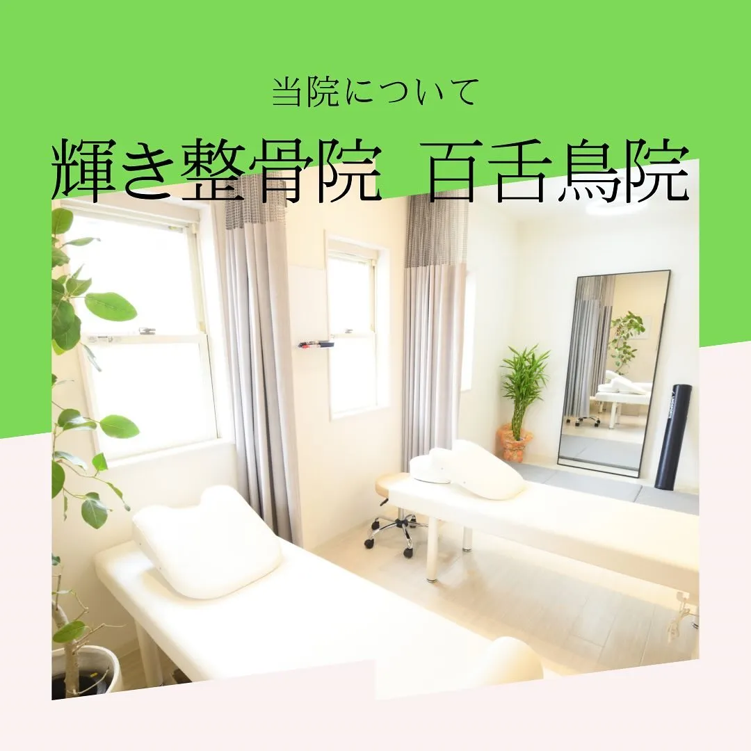 【漫画で分かる‼︎輝き整骨院百舌鳥院について】