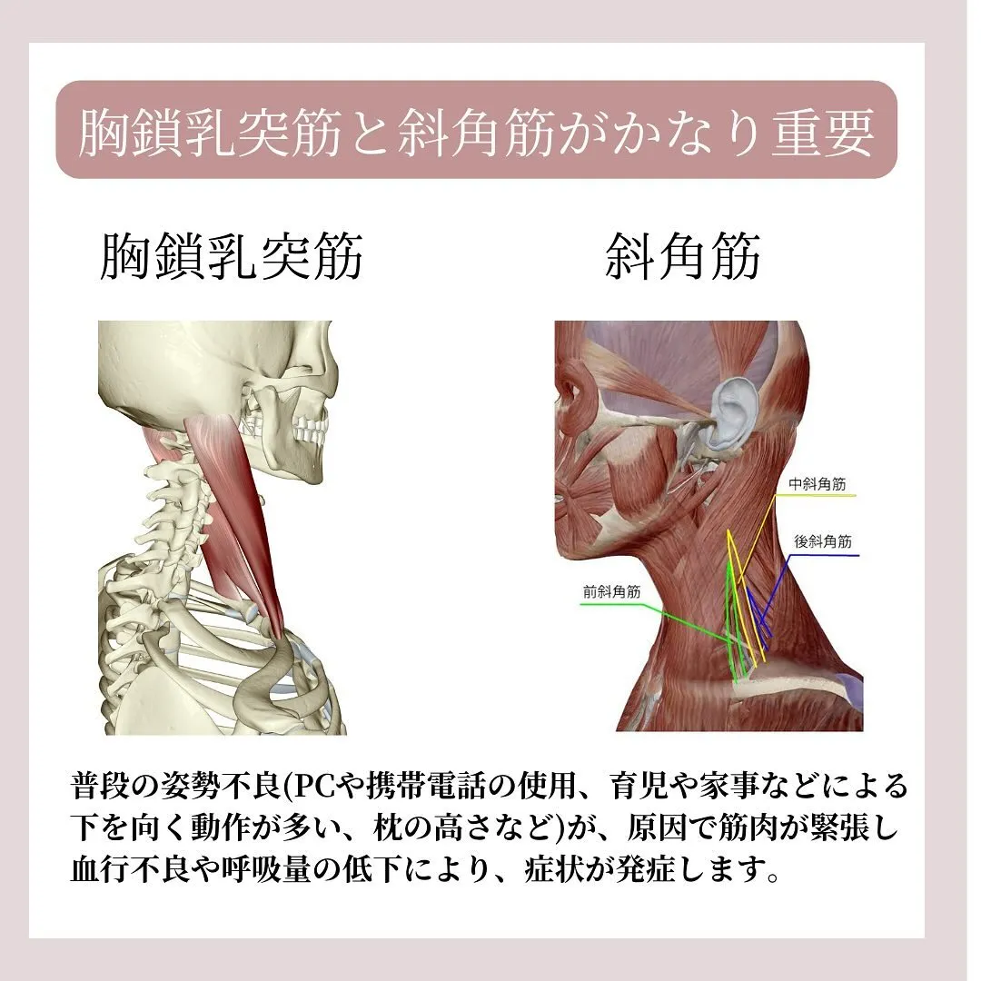 【自律神経の乱れって、実は...首が原因！】