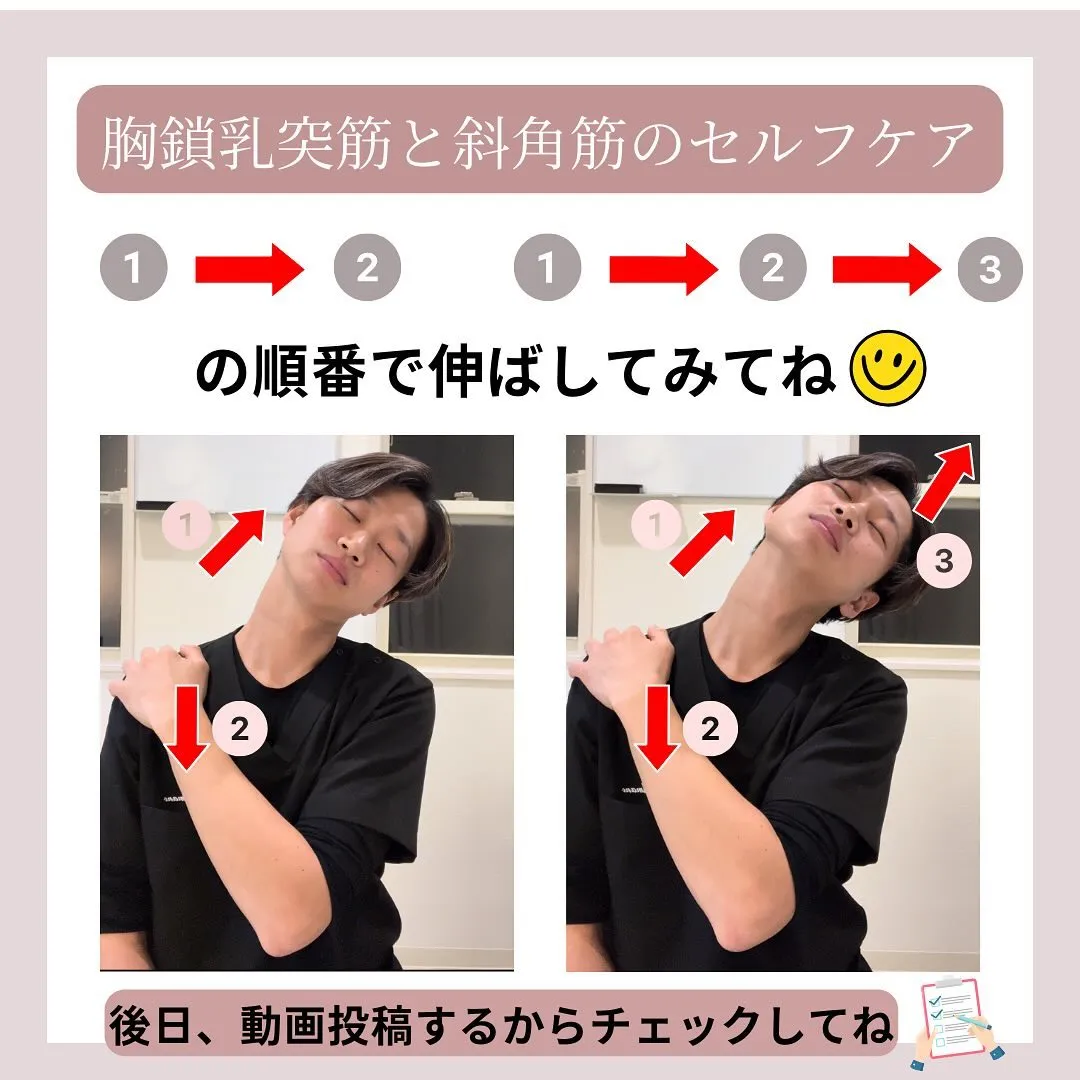 【自律神経の乱れって、実は...首が原因！】